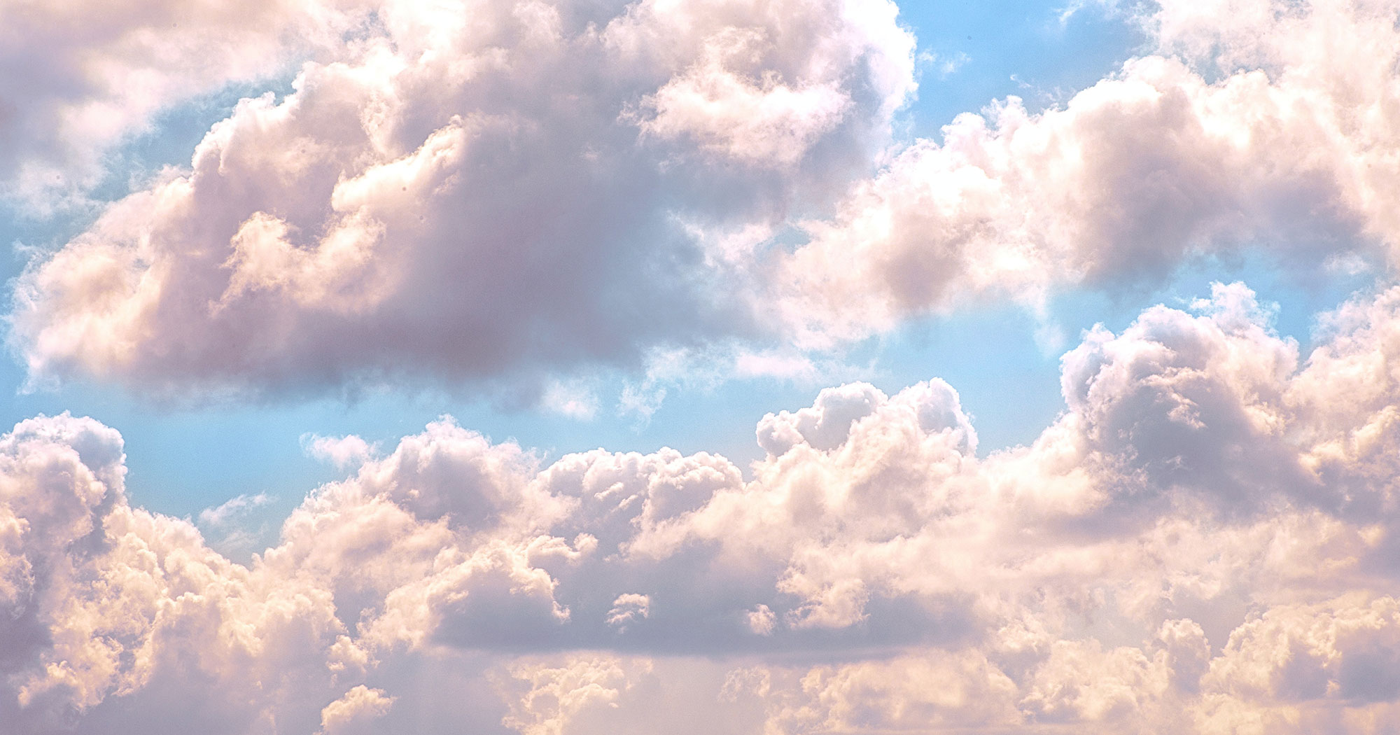 J.エドガー　秘書